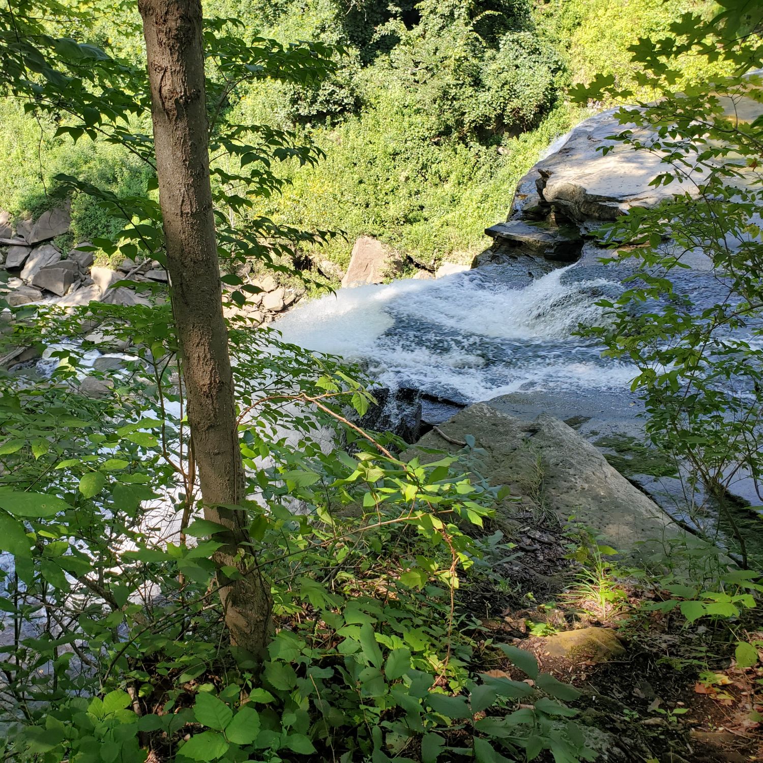 Stanford and Brandywine Gorge Trails 